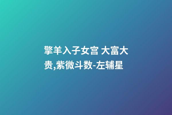 擎羊入子女宫 大富大贵,紫微斗数-左辅星-第1张-观点-玄机派